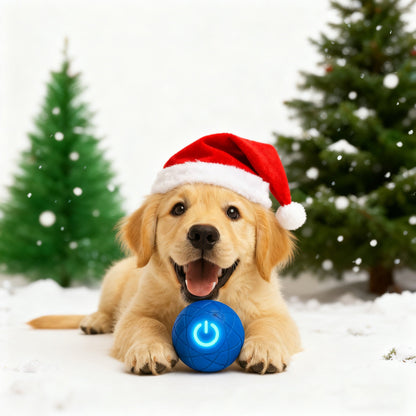 🎁 ✨ Pet Bounce Ball for Cats🐱 & Dogs🐶