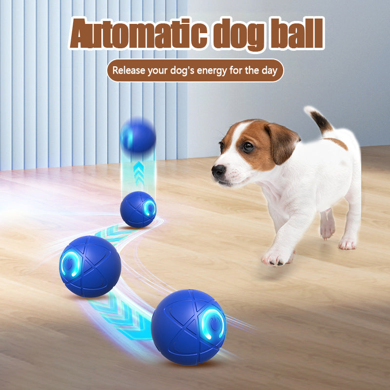 🎁 ✨ Pet Bounce Ball for Cats🐱 & Dogs🐶